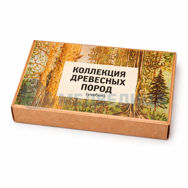 Коллекция «Древесные породы»